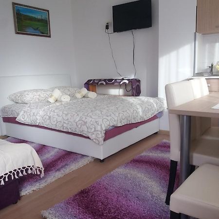 Apartment Bucic Zlatibor Cameră foto
